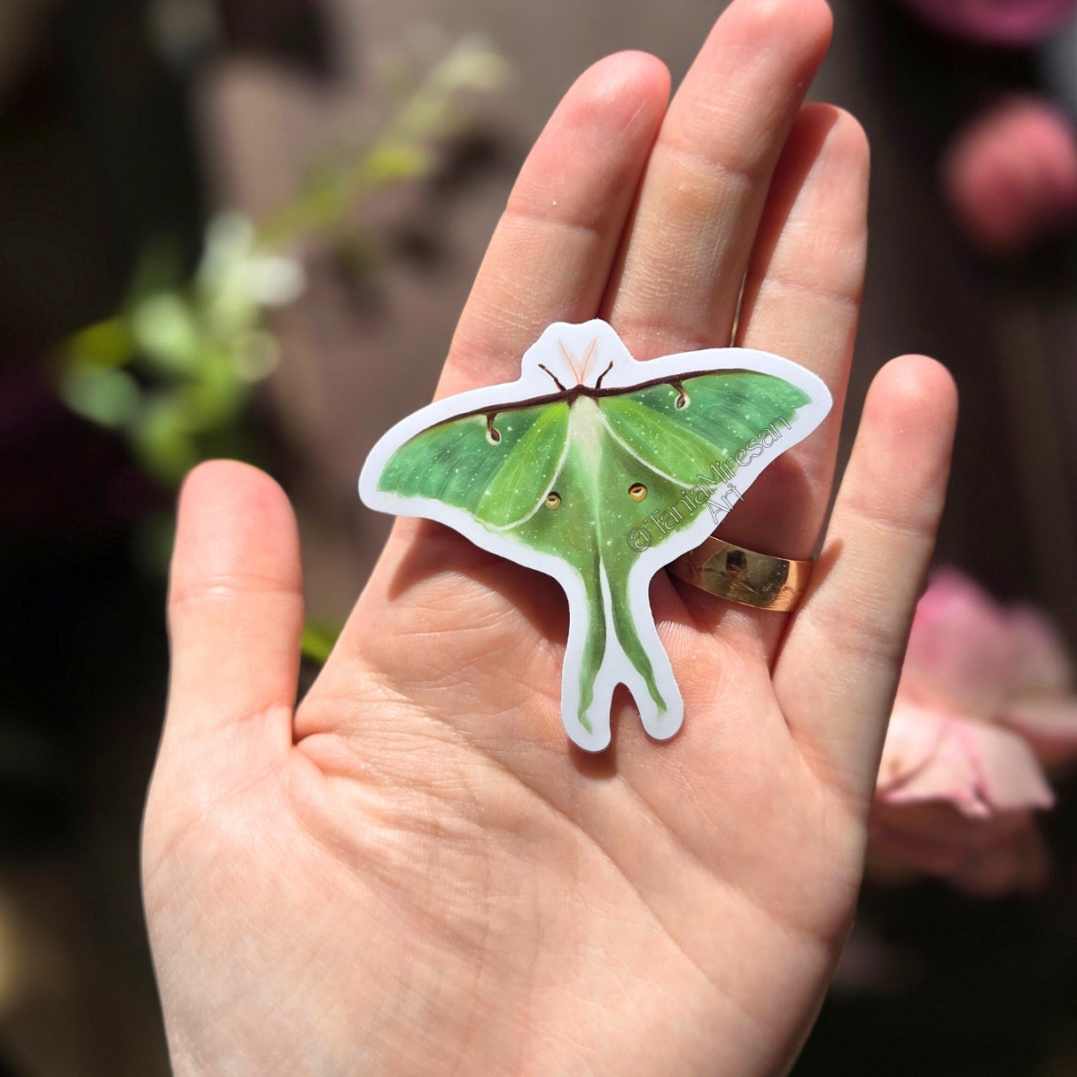 Luna Moth Sticker
