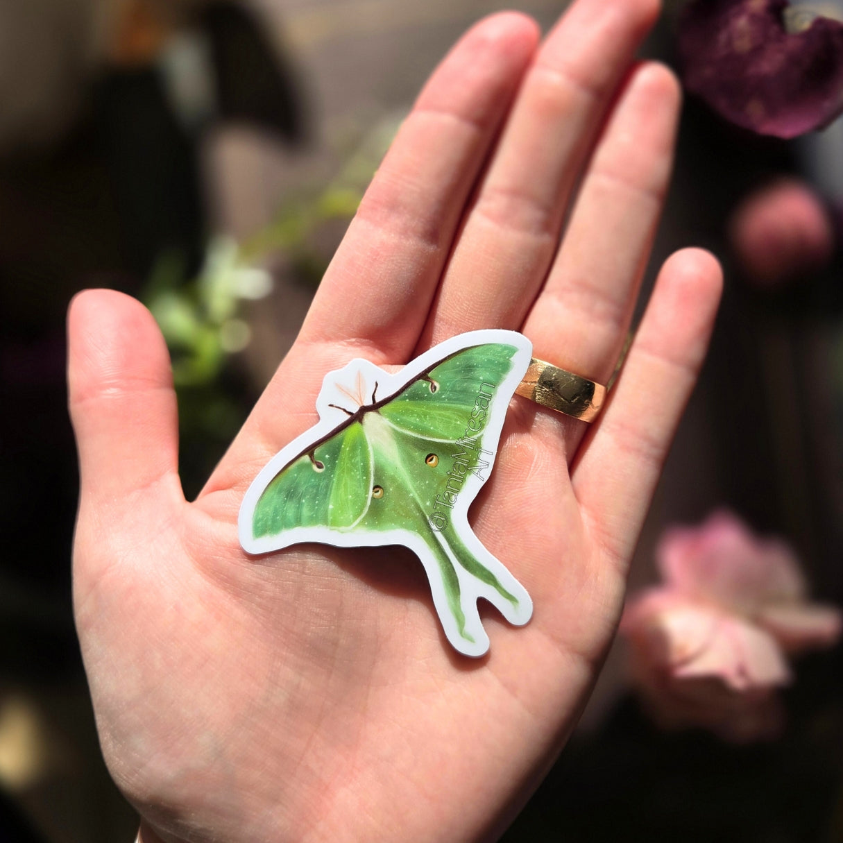 Luna Moth Sticker