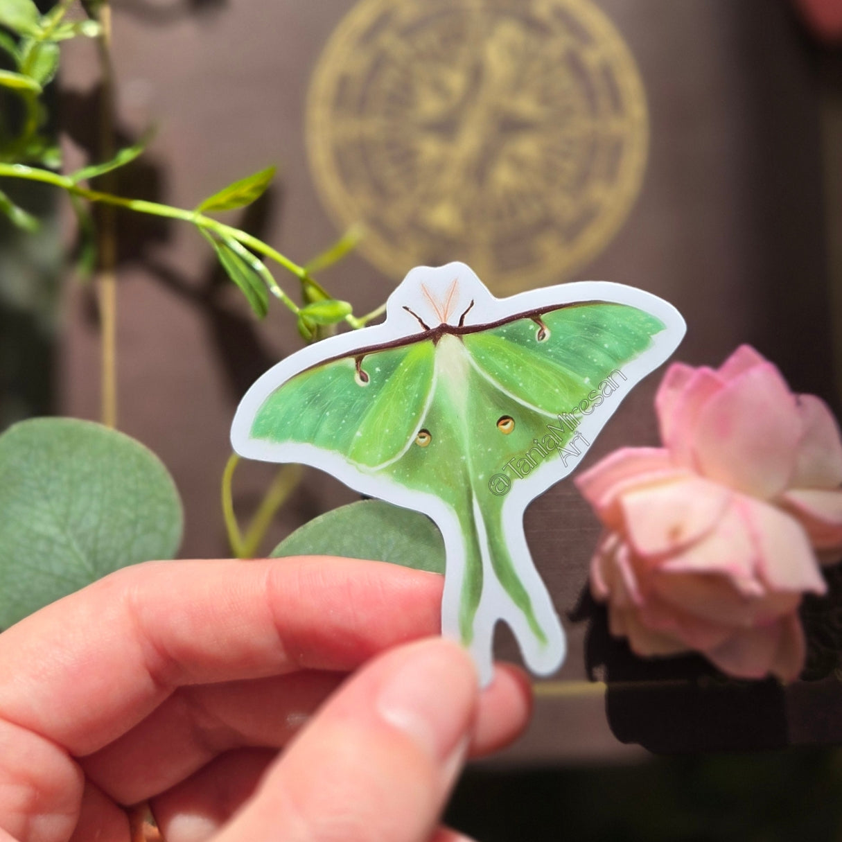 Luna Moth Sticker