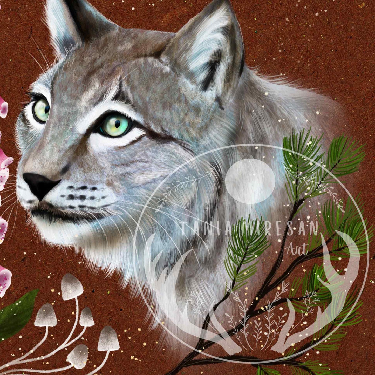 Lynx Fine Art Print