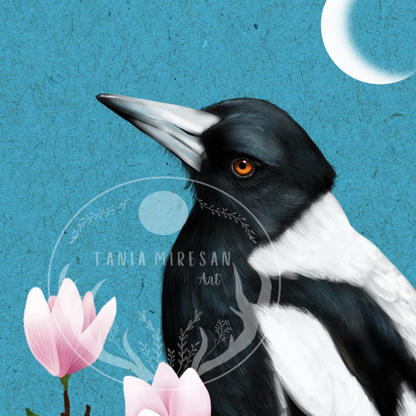 Magpie and Magnolias Fine Art Print