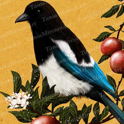 Magpie and Apples Fine Art Print