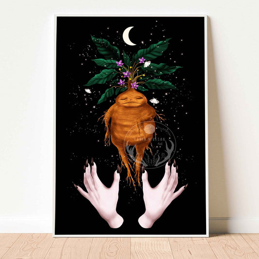 Mandrake Fine Art Print