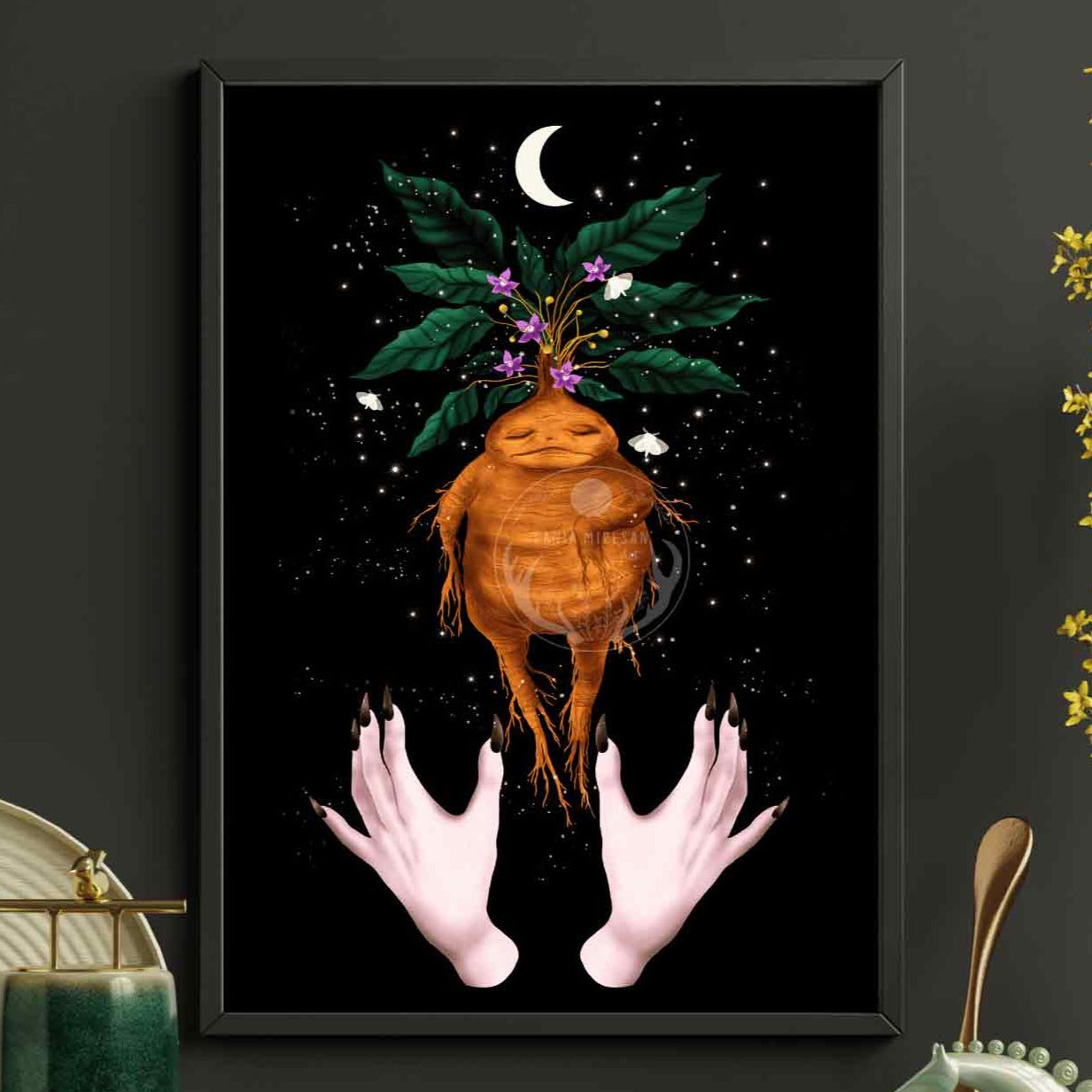 Mandrake Fine Art Print