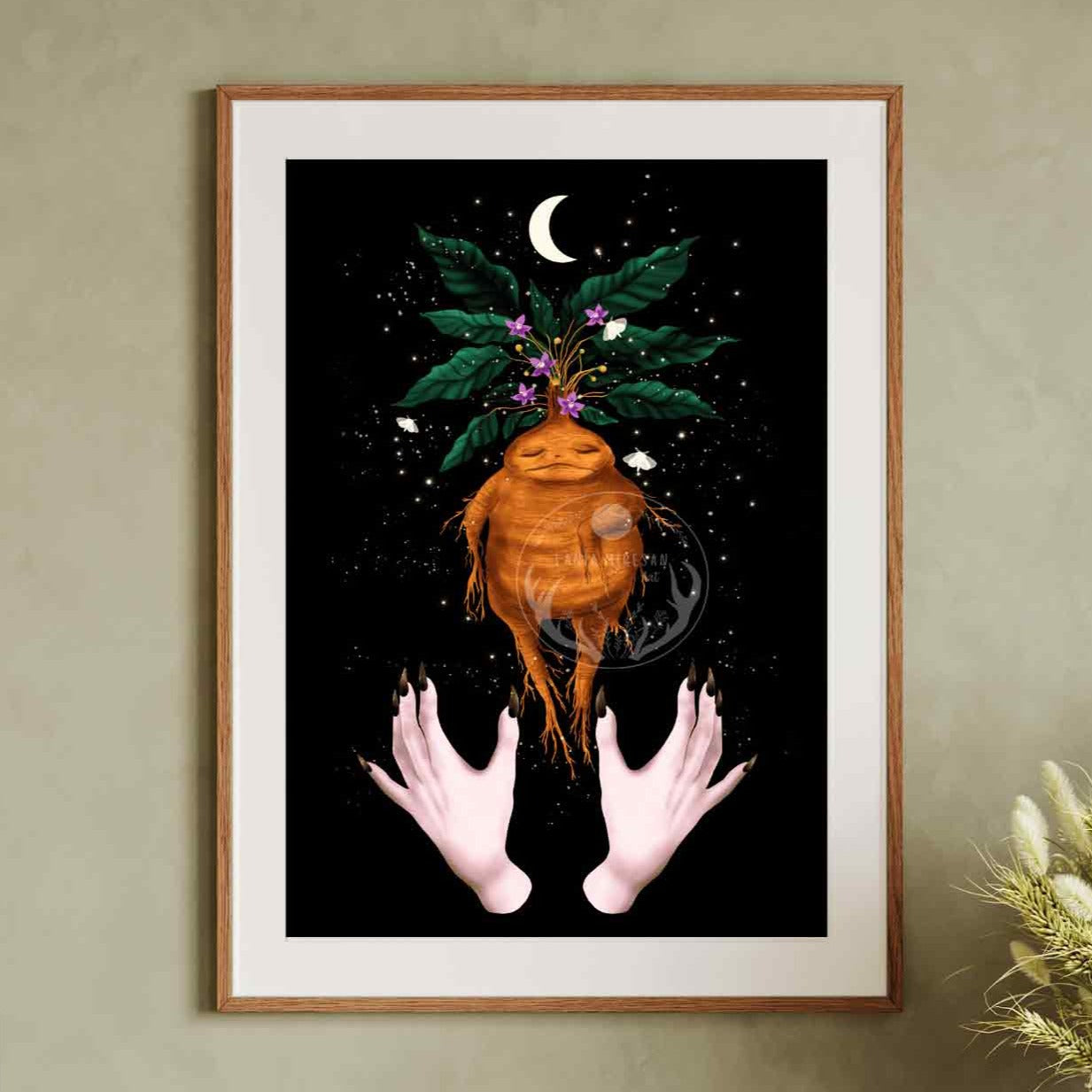 Mandrake Fine Art Print