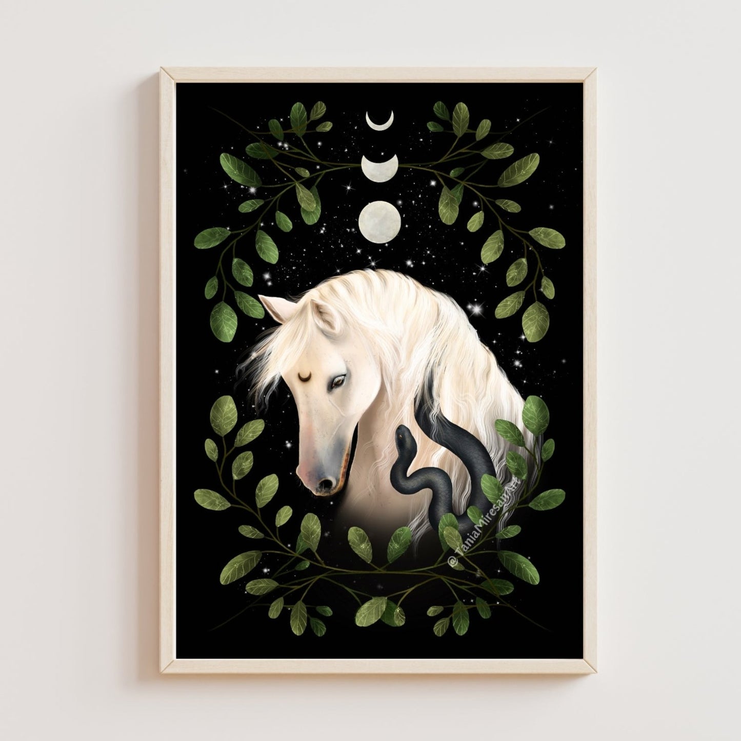 Midnight Horse Fine Art Print