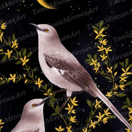 Mockingbird Fine Art Print