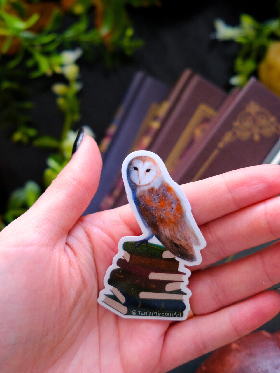 Owl and Books Sticker