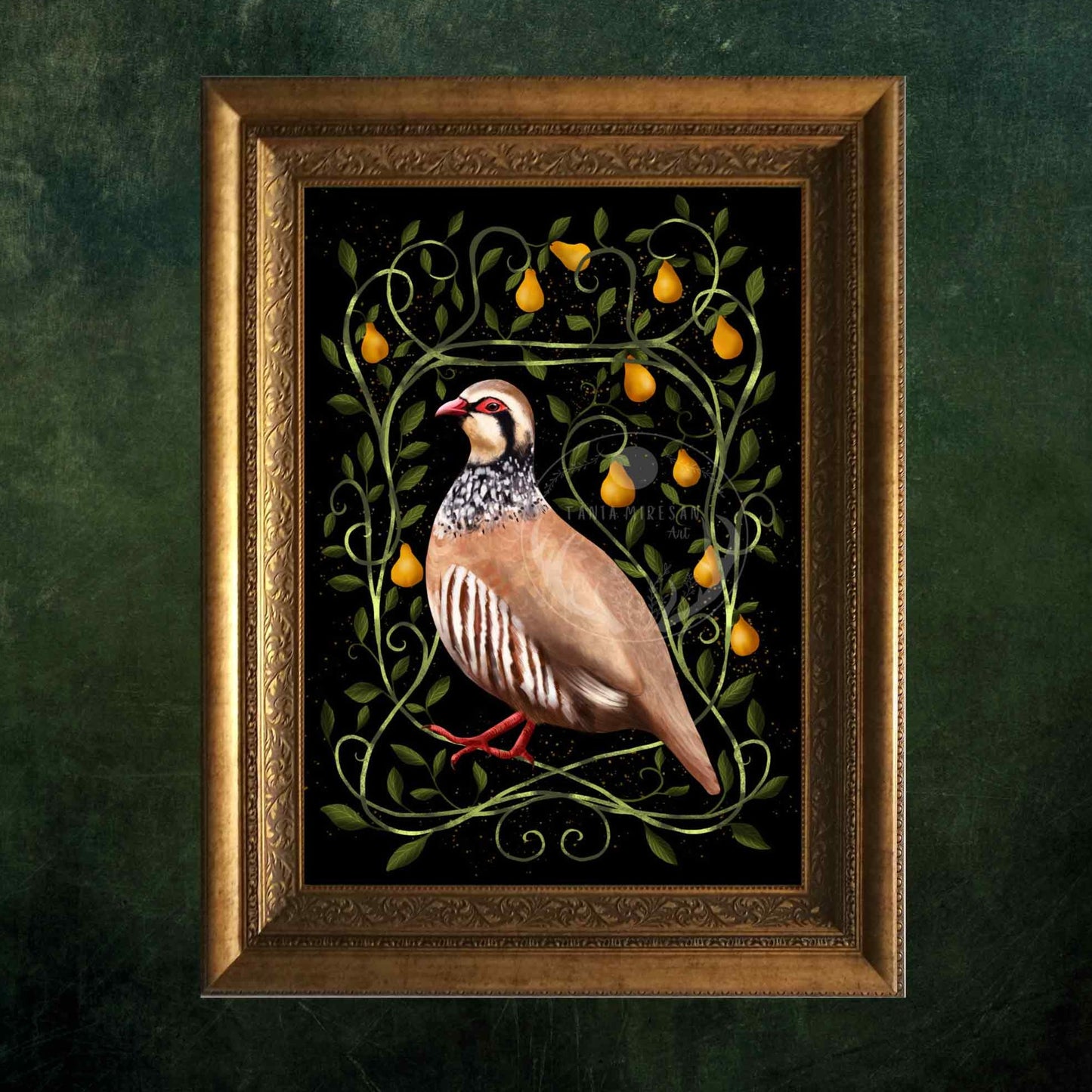 Partridge in a Pear Tree Fine Art Print