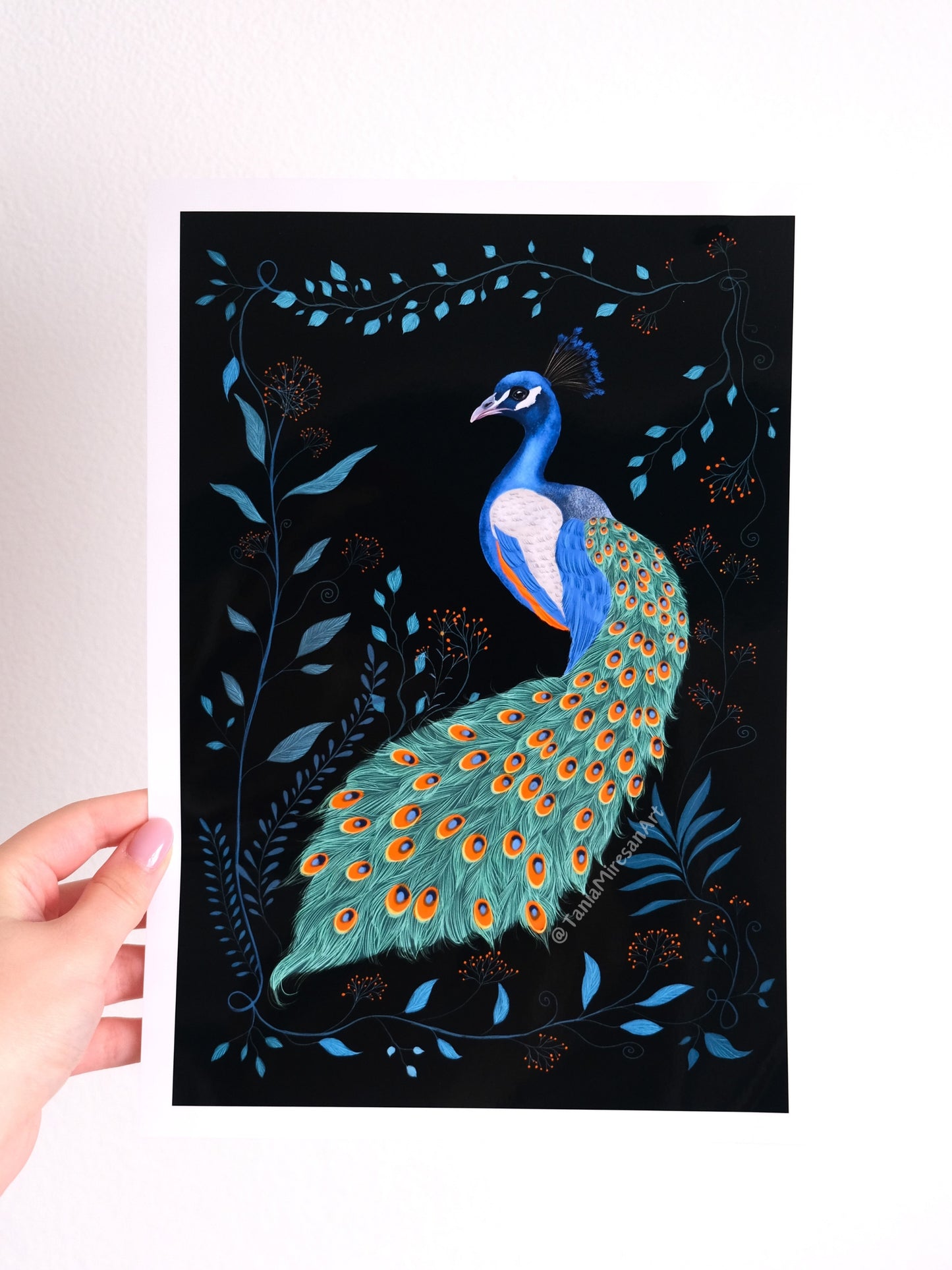Peacock Glossy Print