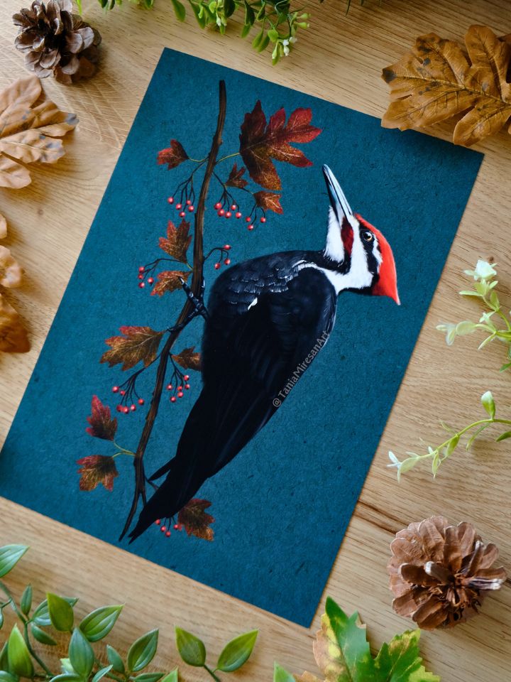 Pileated Woodpecker Fine Art Print