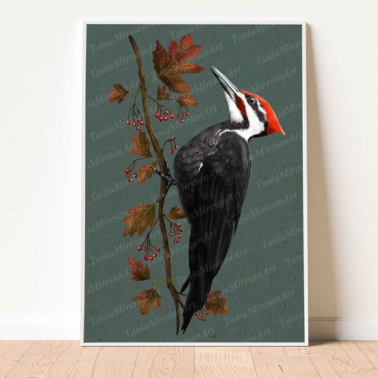 Pileated Woodpecker Fine Art Print