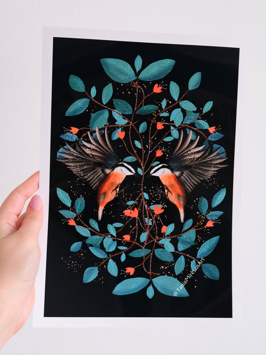 Red-breasted Nuthatch Glossy Print