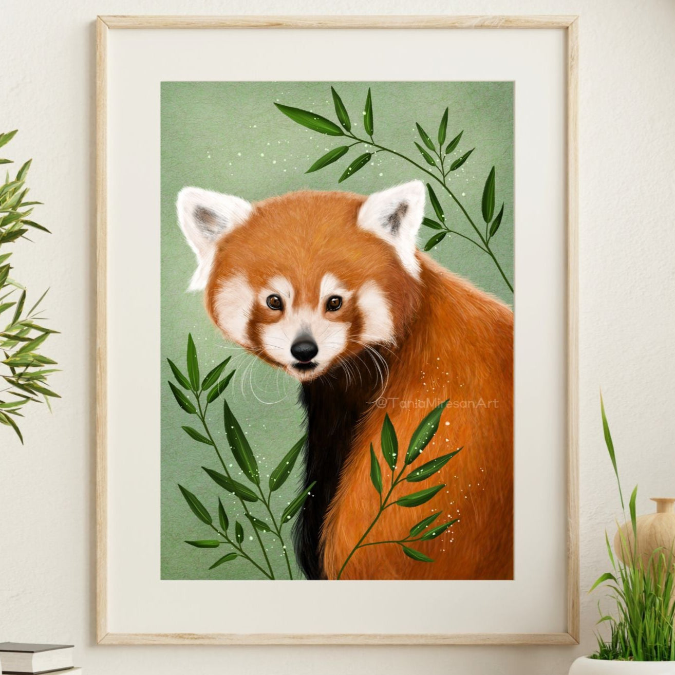 Red Panda Fine Art Print