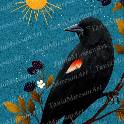 Red-winged Blackbird Fine Art Print