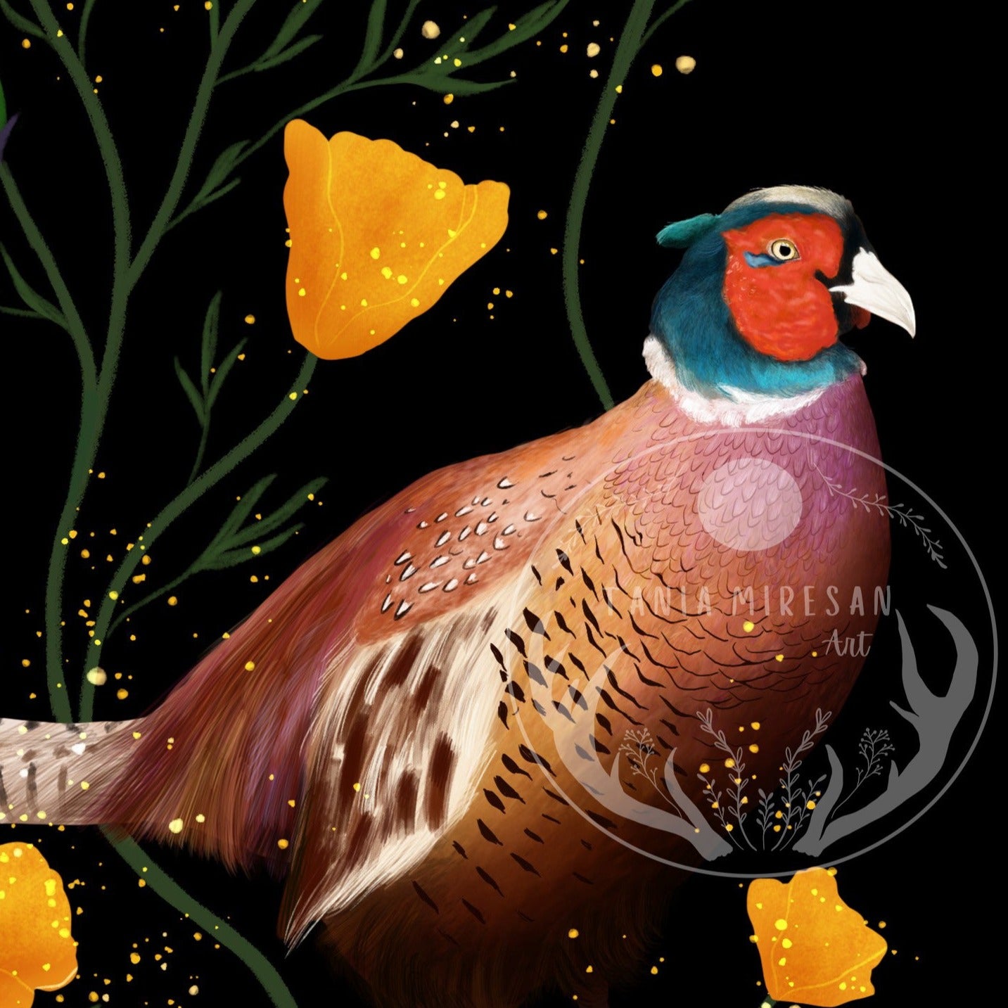 Ring-necked Pheasant Fine Art Print