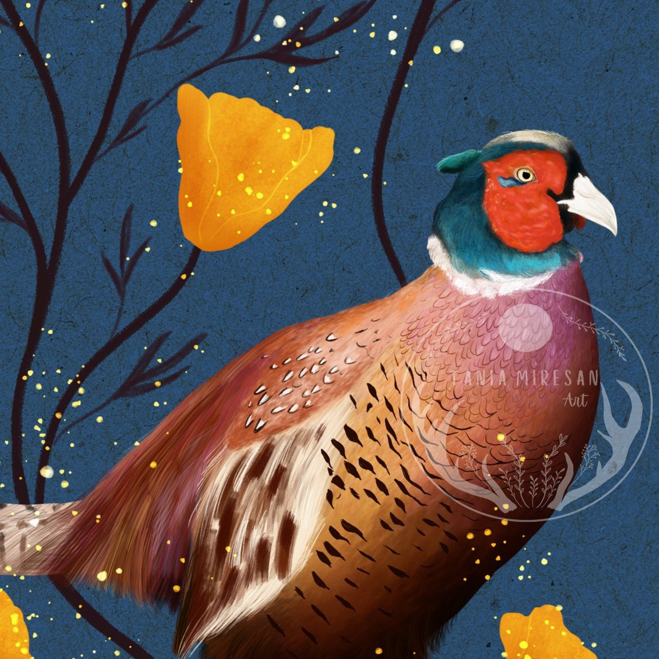 Ring-necked Pheasant Fine Art Print