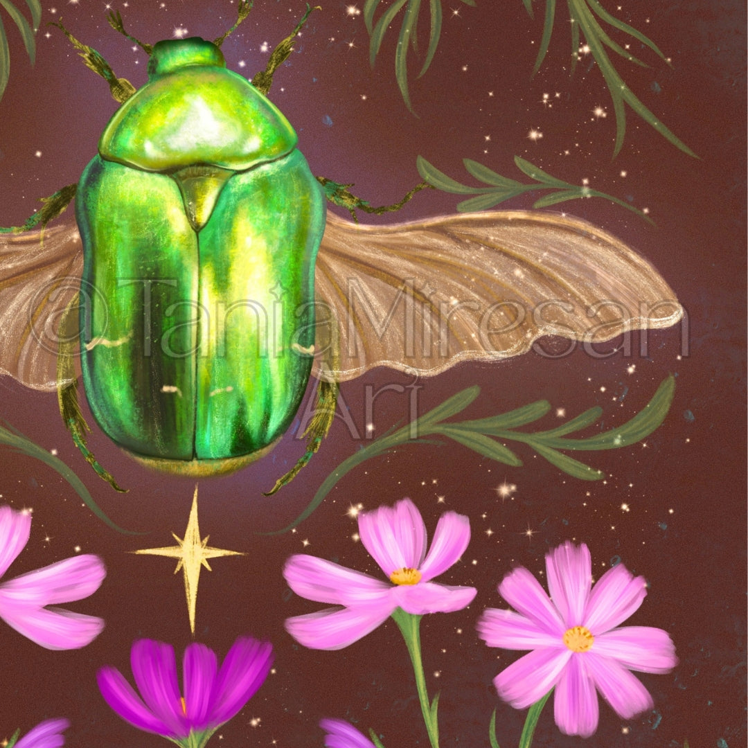 Rose Chafer Fine Art Print