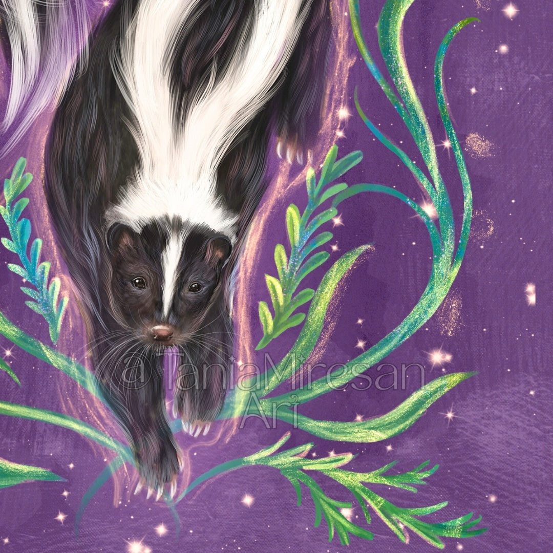 Skunk Fine Art Print