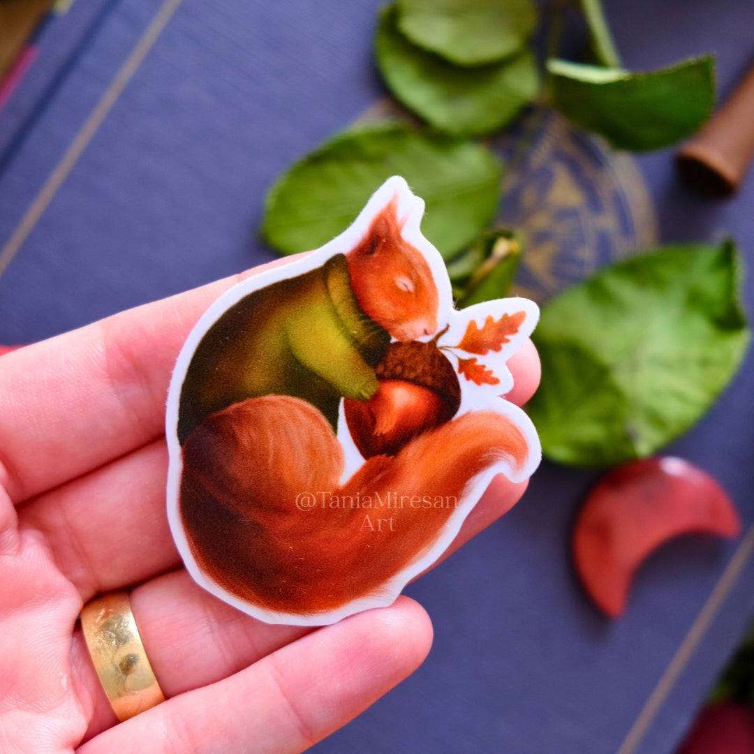 Sleeping Squirrel Sticker