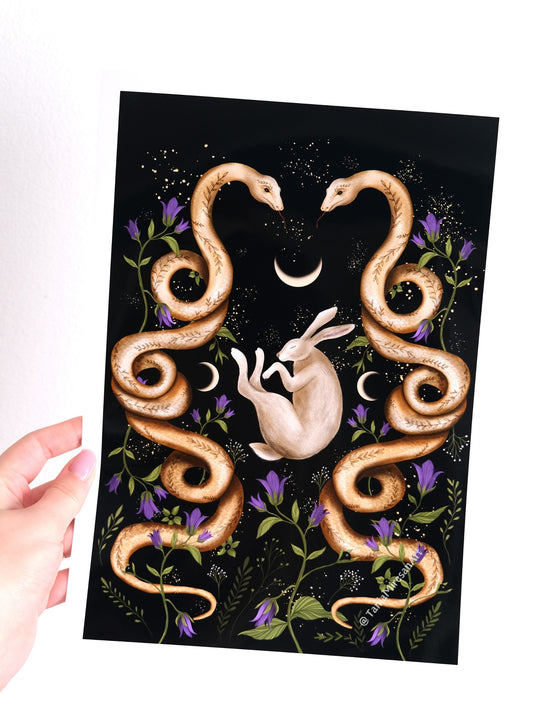 Snake & Hare Glossy Print
