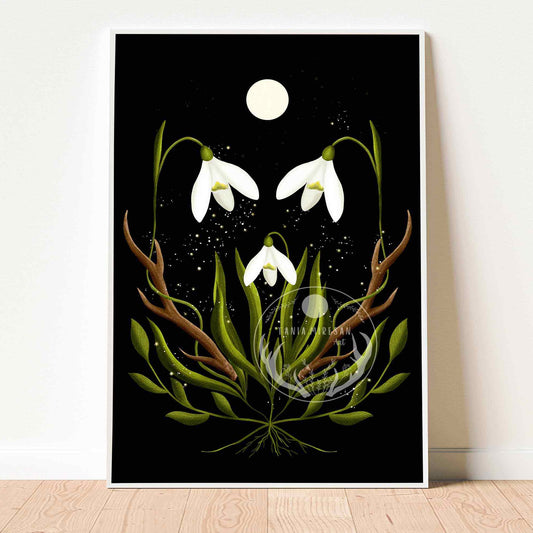 Snowdrop Fine Art Print