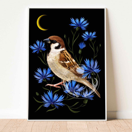 Sparrow Fine Art Print