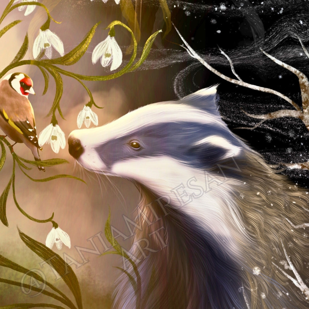 Spring Badger Fine Art Print