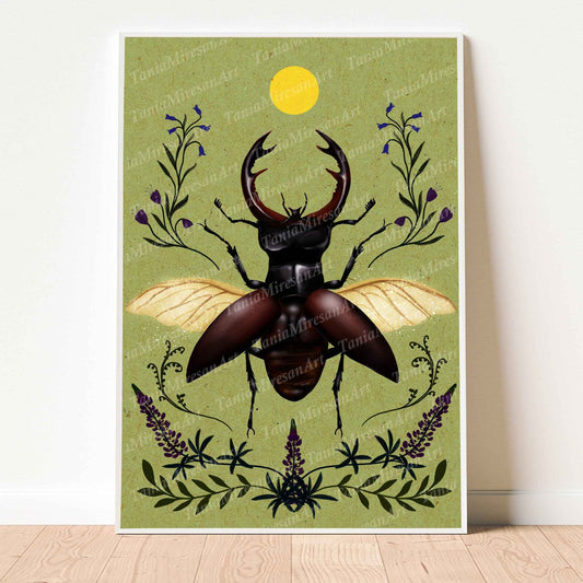 Stag Beetle Fine Art Print