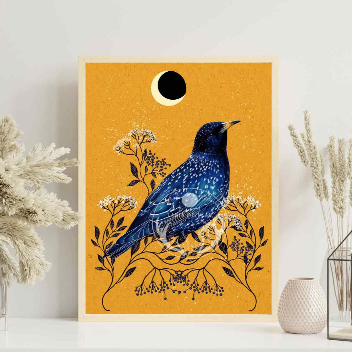 Starling Fine Art Print