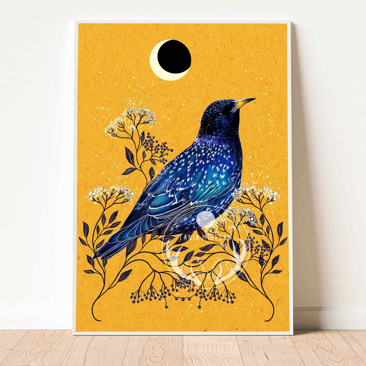 Starling Fine Art Print