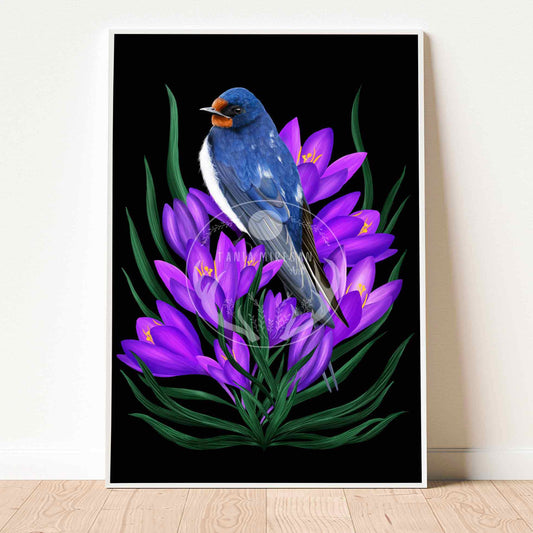 Swallow Fine Art Print