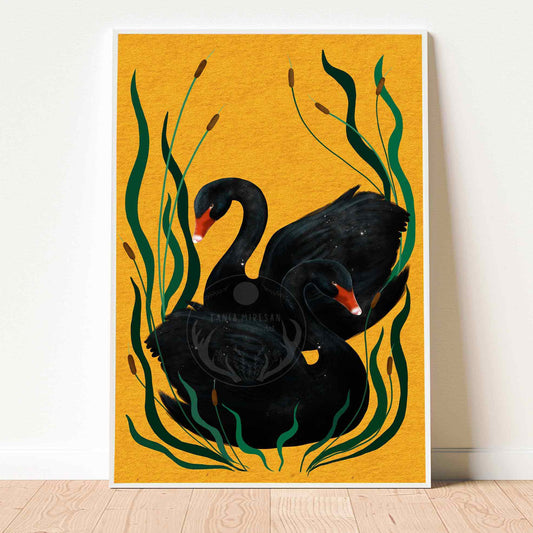 Swan Couple Fine Art Print