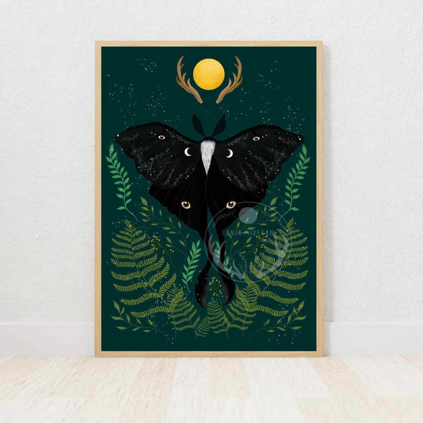 Black Luna Moth Fine Art Print