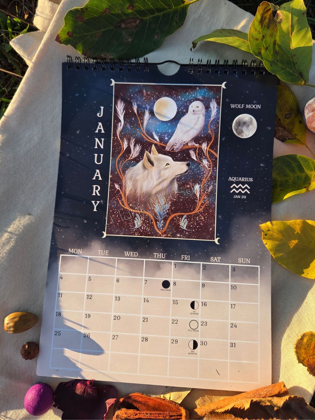 Enchanted Forest 2027 Moon Calendar
