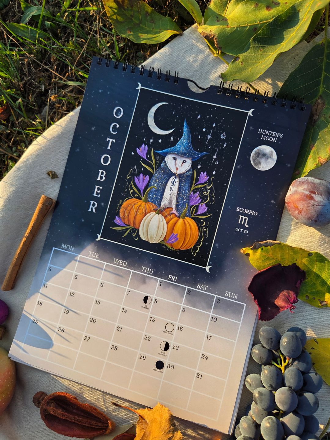 Gift Box 2027 Calendar + Coloring Book
