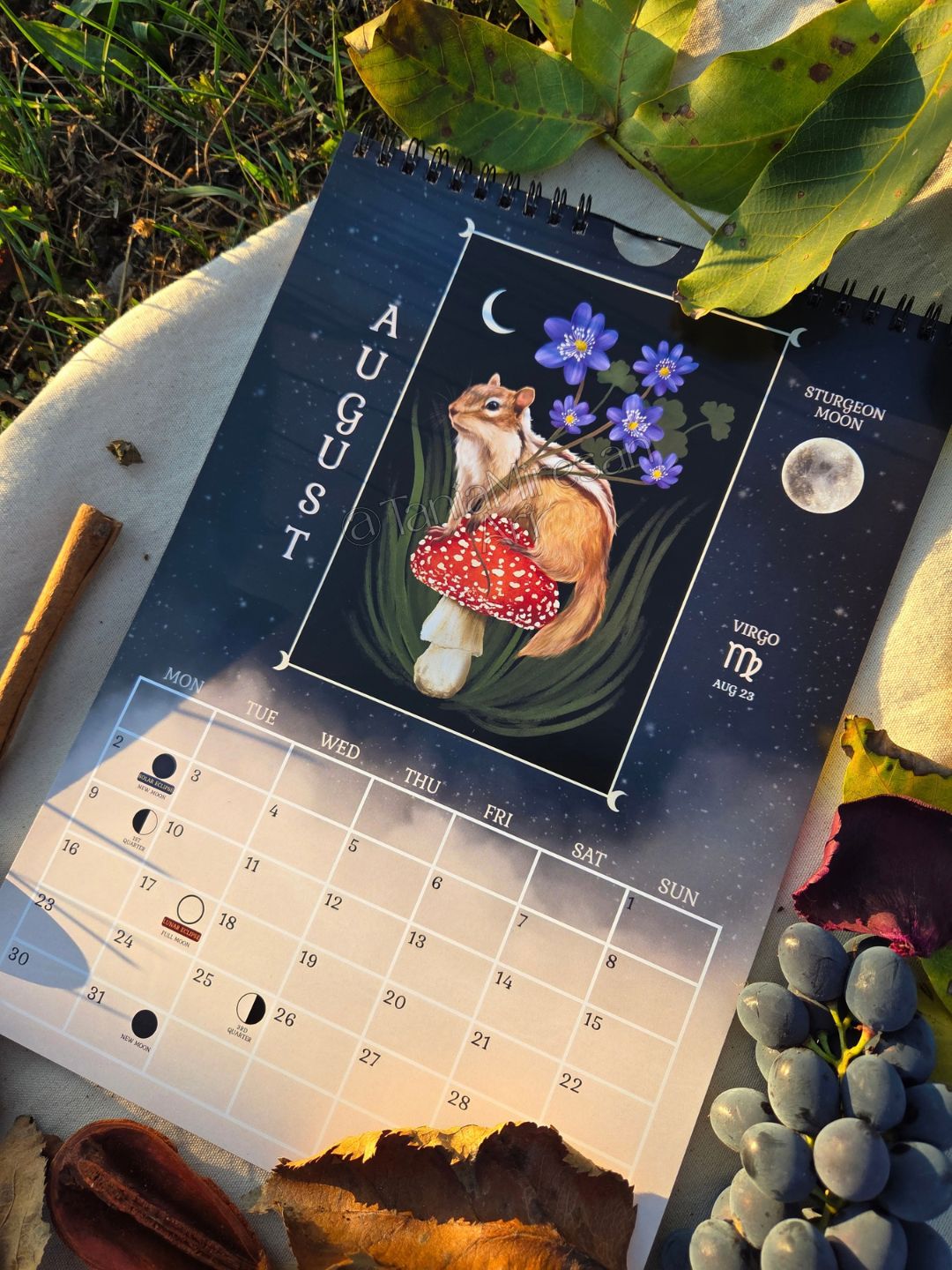 Gift Box 2027 Calendar + Coloring Book