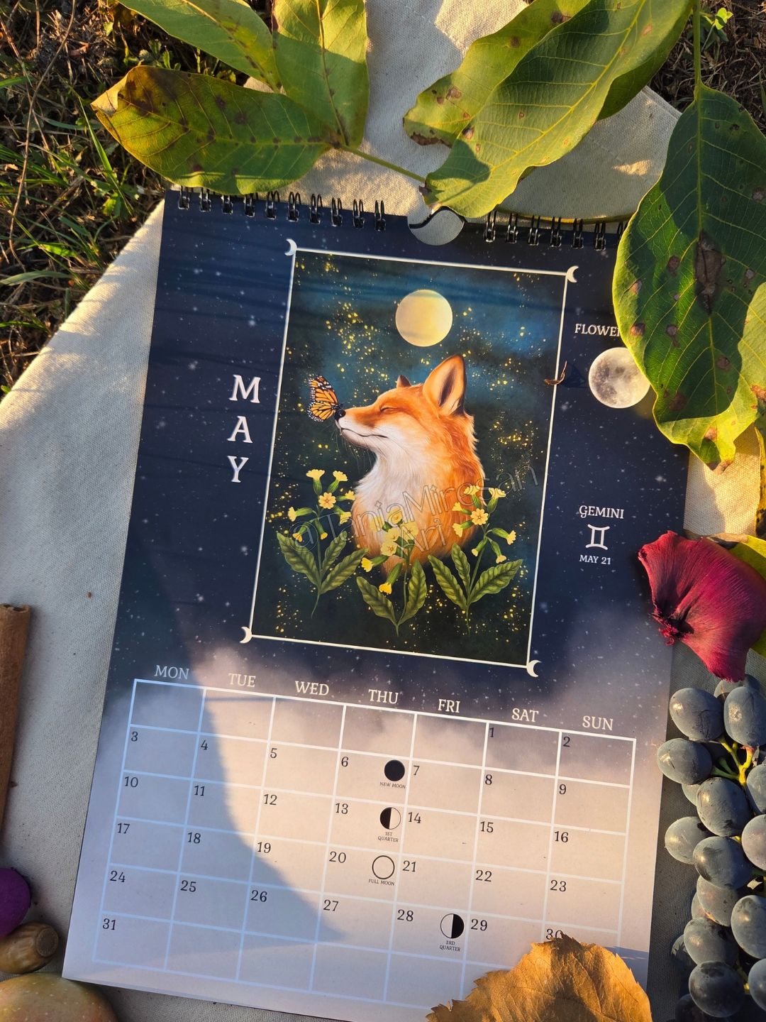 Gift Box 2027 Calendar + Coloring Book
