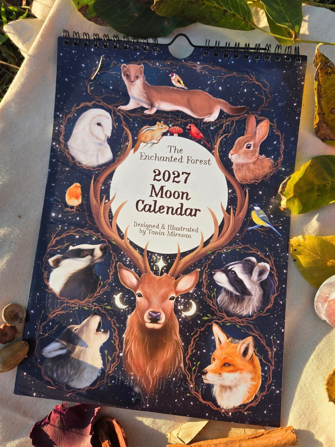 Enchanted Forest 2027 Moon Calendar