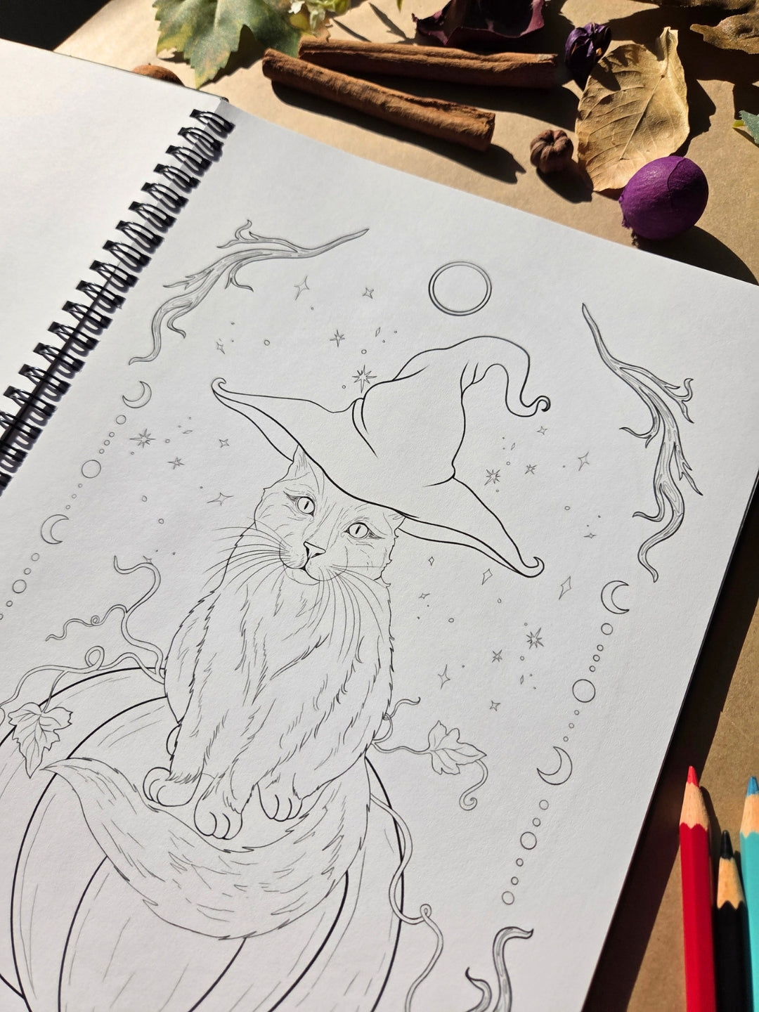 The Enchanted Forest Coloring Book 2026