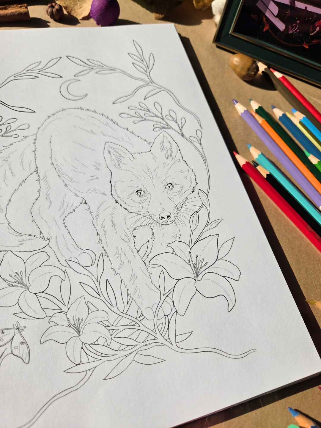 Gift Box 2027 Calendar + Coloring Book