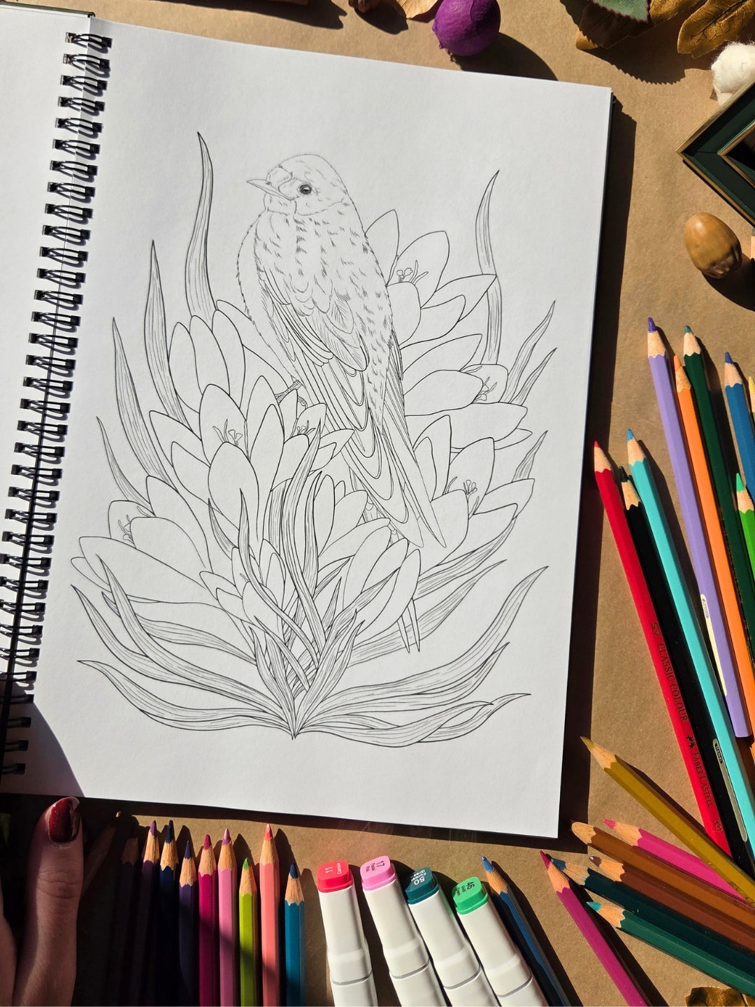 The Enchanted Forest Coloring Book 2026