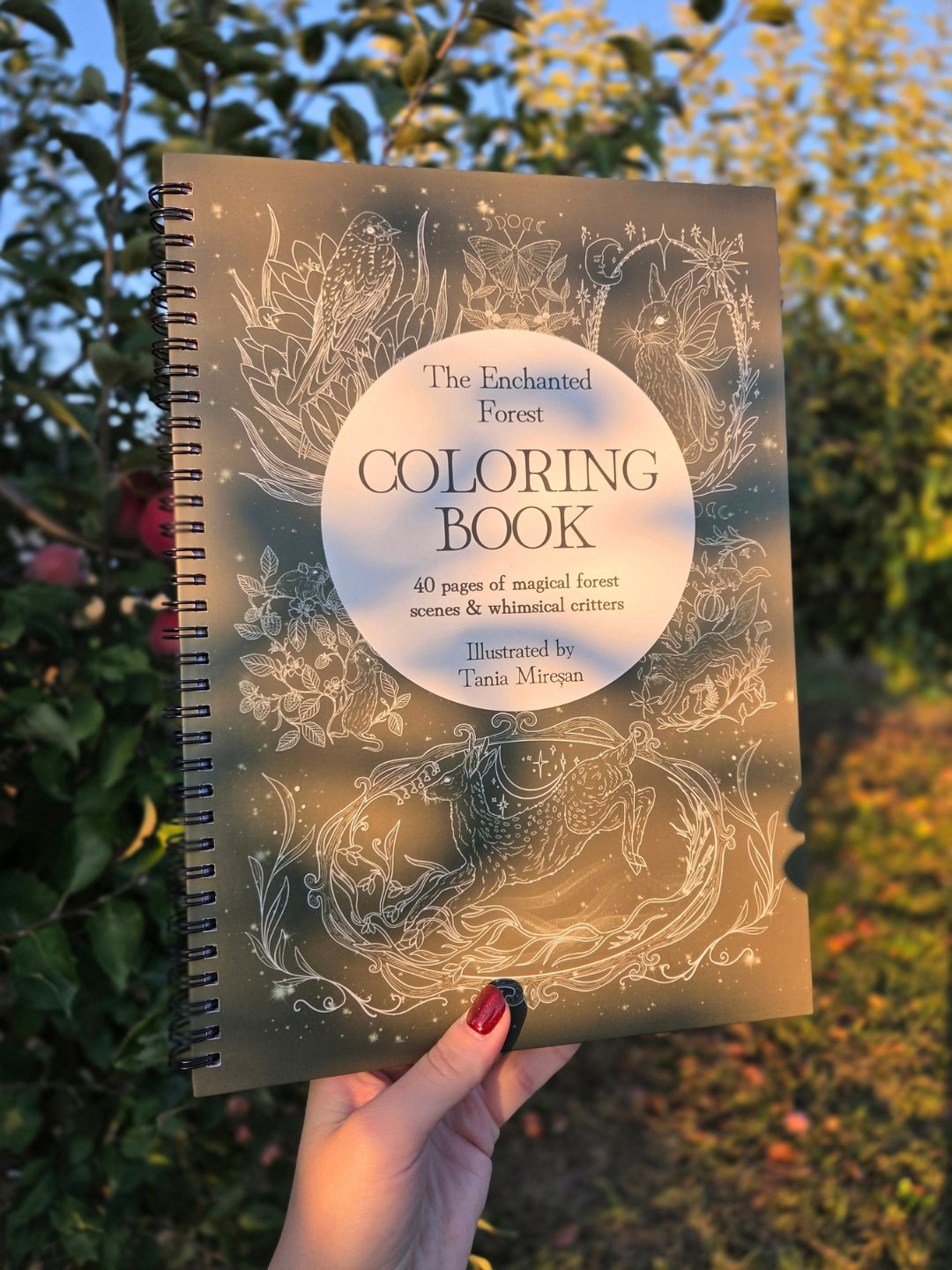 Gift Box 2027 Calendar + Coloring Book