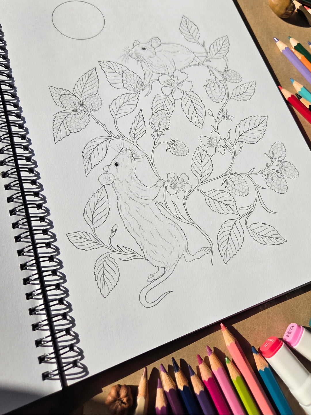 The Enchanted Forest Coloring Book 2026