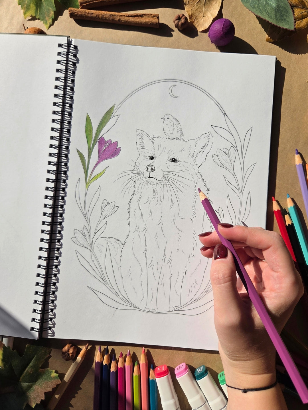 The Enchanted Forest Coloring Book 2026