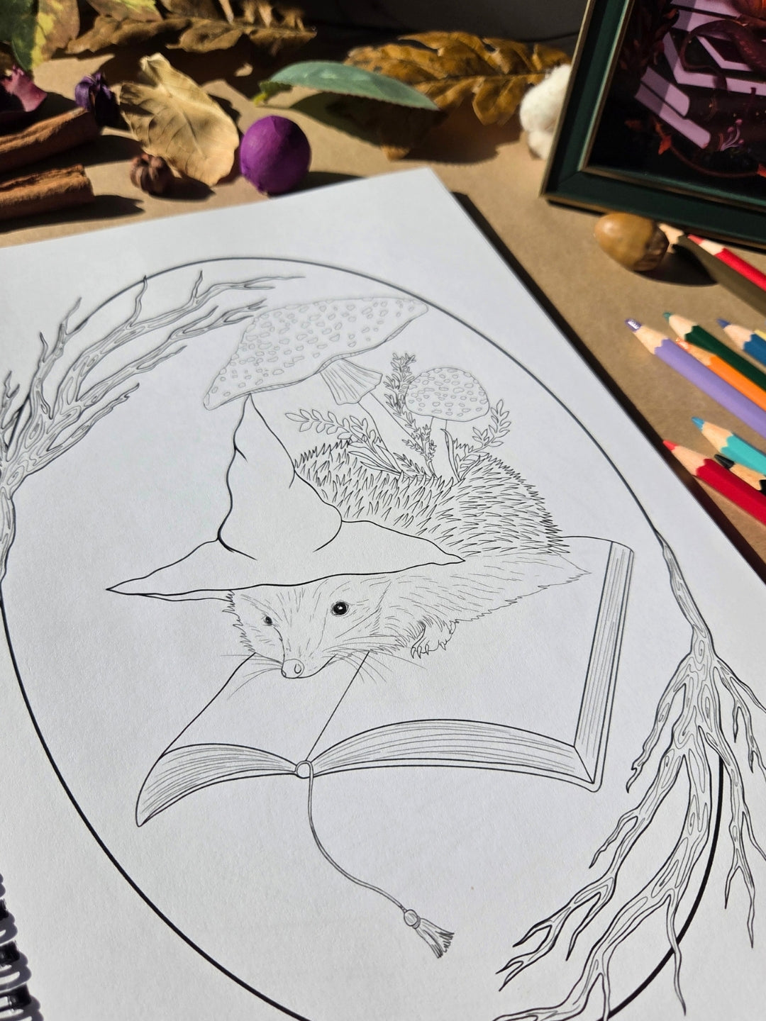 The Enchanted Forest Coloring Book 2026
