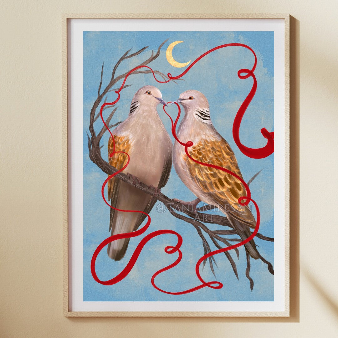 Turtle Doves Fine Art Print