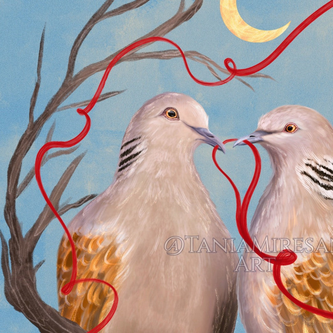 Turtle Doves Fine Art Print
