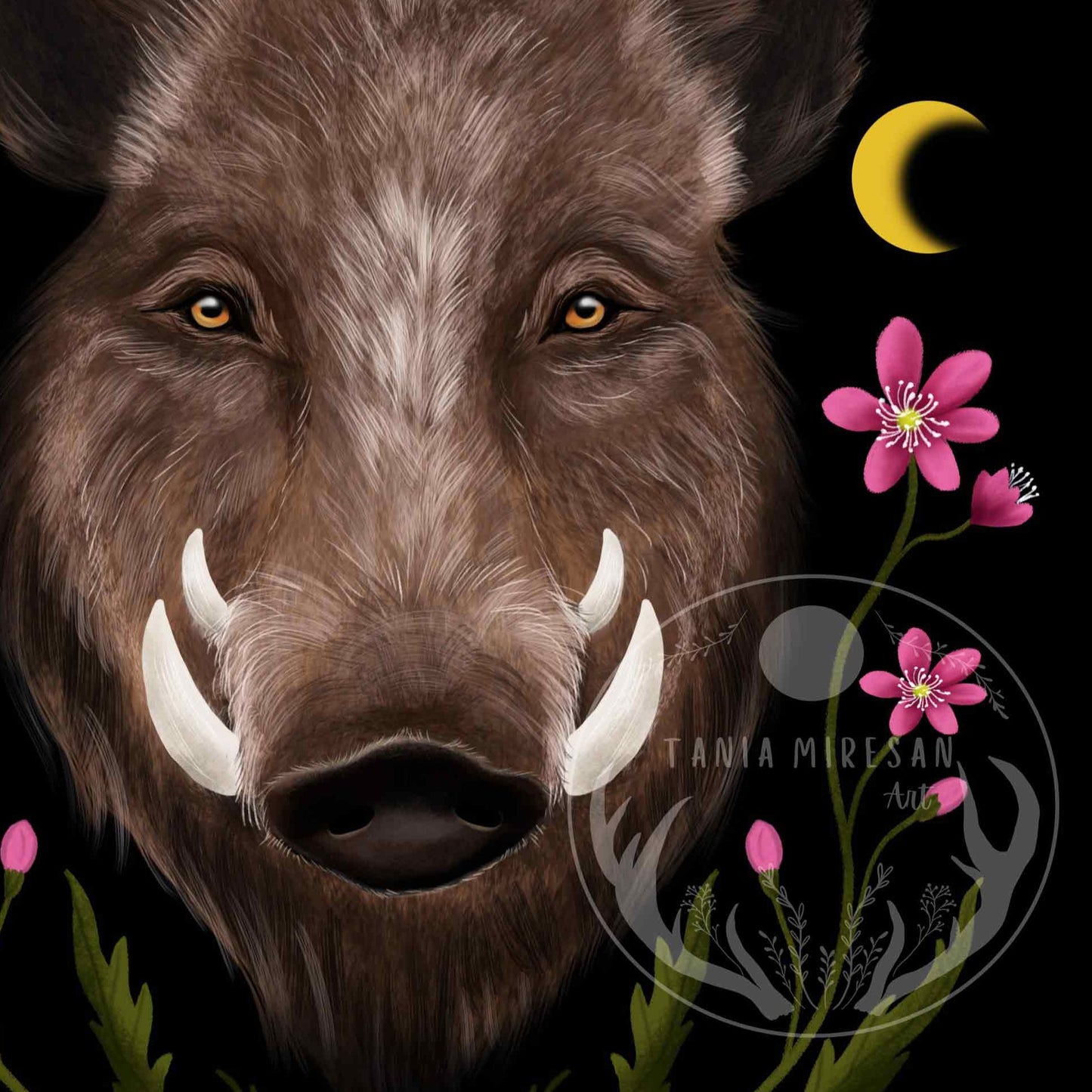 Wild Boar Fine Art Print