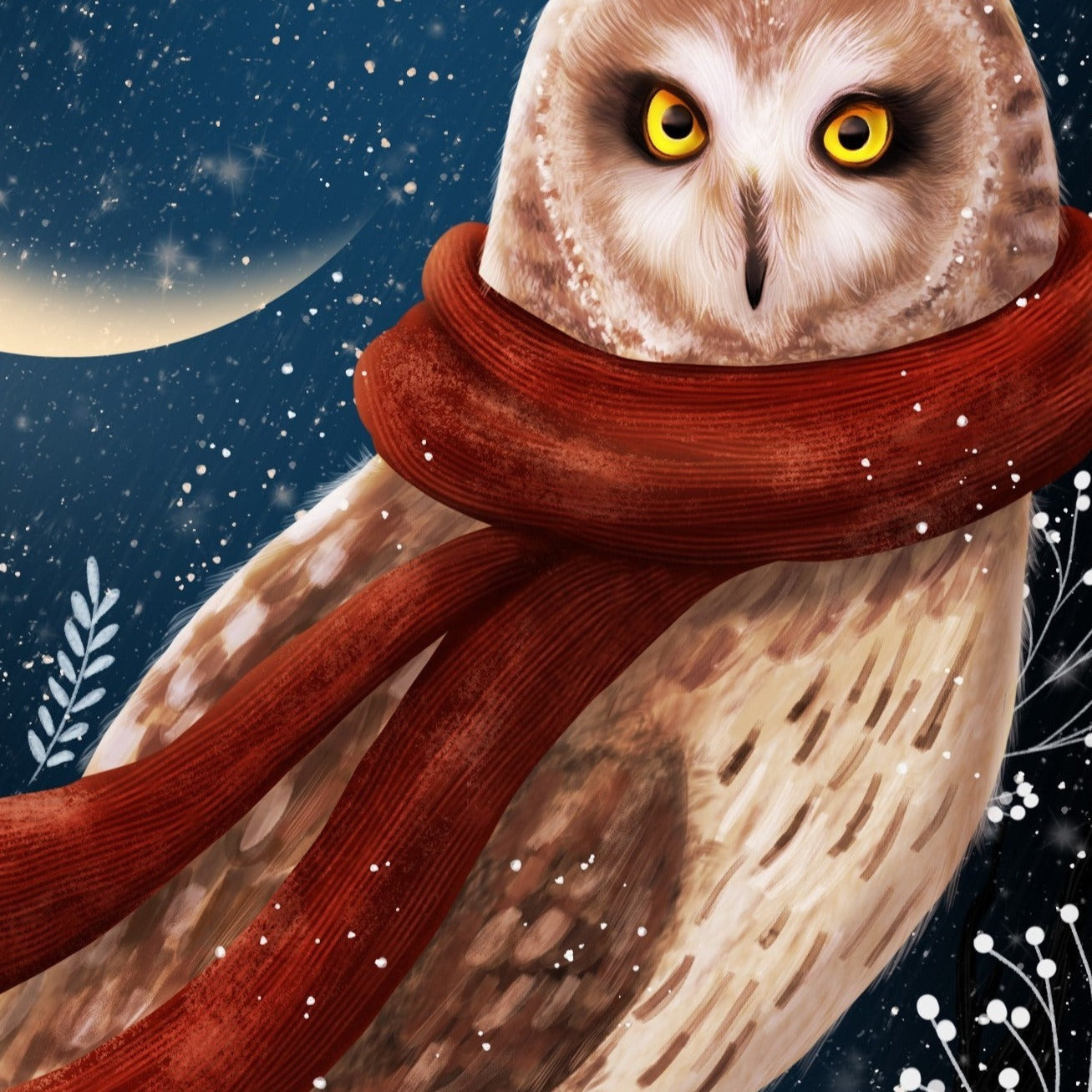 Winter Owl Fine Art Print